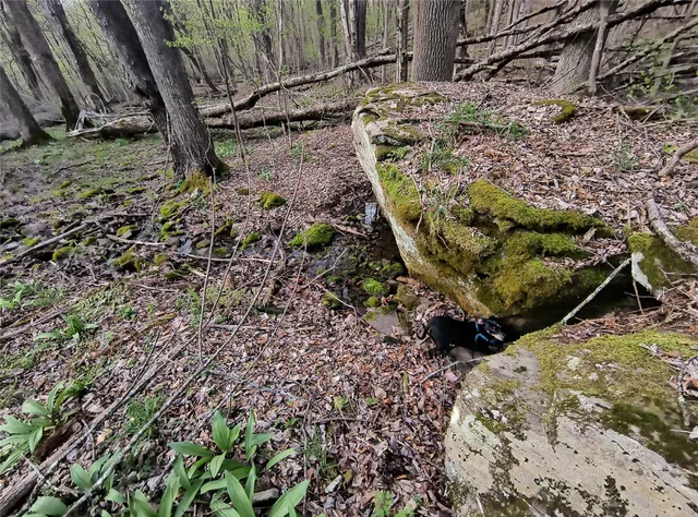 $55,000 | Chiloway Road, Hancock, NY 13783