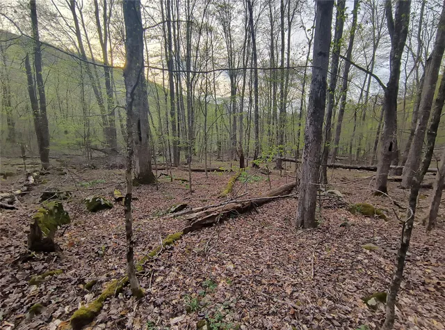 $55,000 | Chiloway Road, Hancock, NY 13783