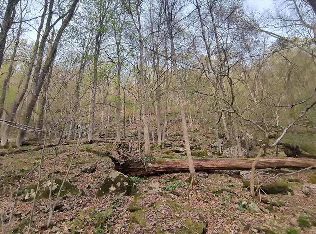 $55,000 | Chiloway Road, Hancock, NY 13783