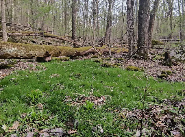 $55,000 | Chiloway Road, Hancock, NY 13783