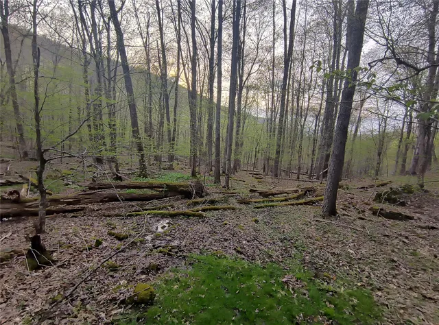 $55,000 | Chiloway Road, Hancock, NY 13783