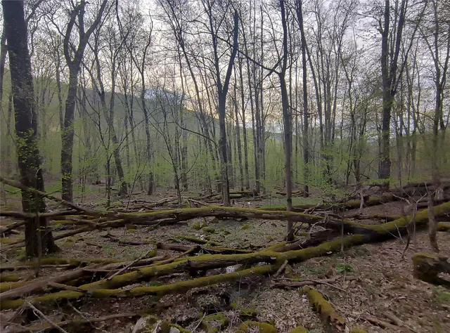 $55,000 | Chiloway Road, Hancock, NY 13783