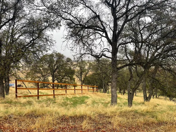 a view of yard with trees