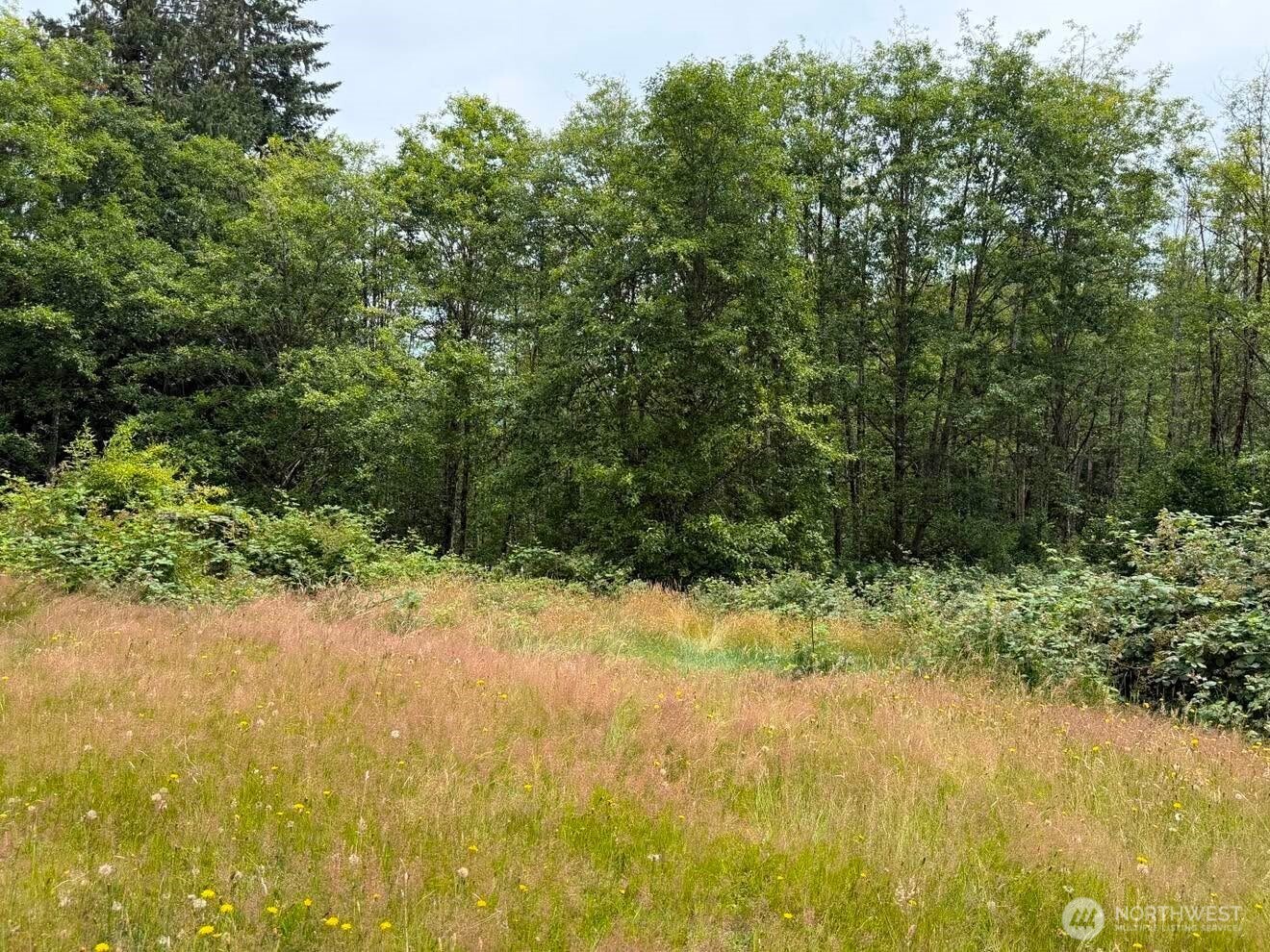 244 North Dubois Road Ariel, WA 98603 - Photo 25 of 34