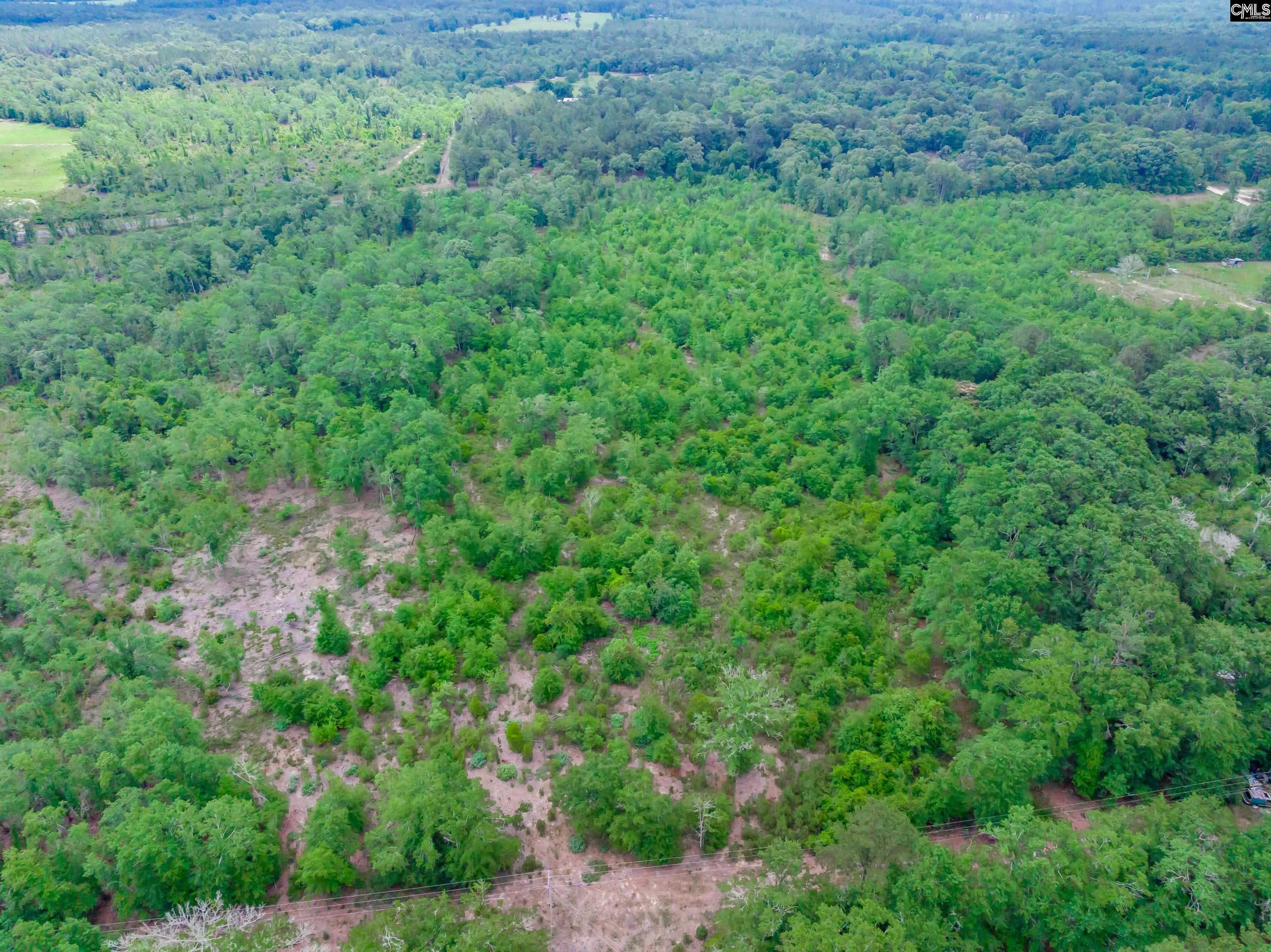 0 Seivern Road Wagener, SC 29164 - Photo 12 of 23