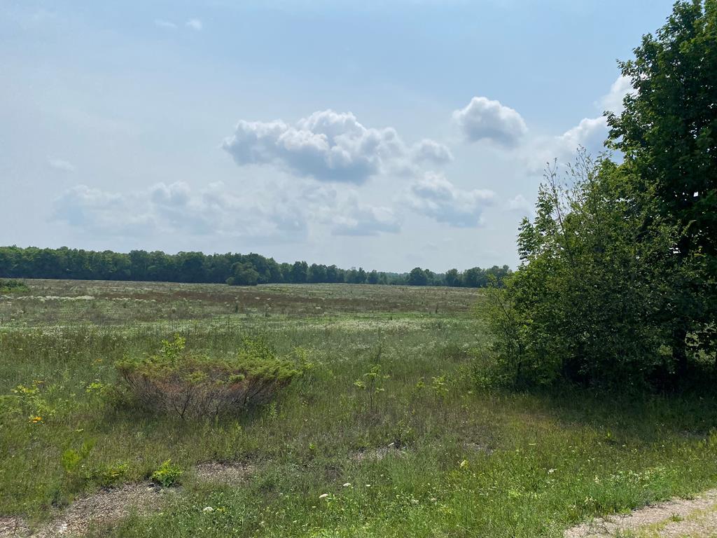 Lot 1 County Road Baileys Harbor, WI 54202 - Photo 2 of 2