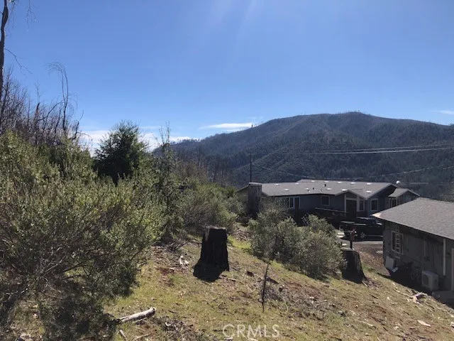 a view of a dry yard with green space