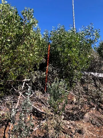 a view of outdoor space with trees