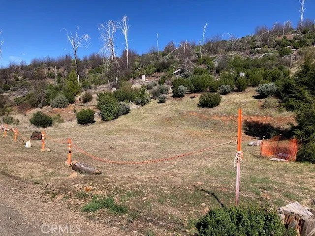 a view of a large yard with lots of green space
