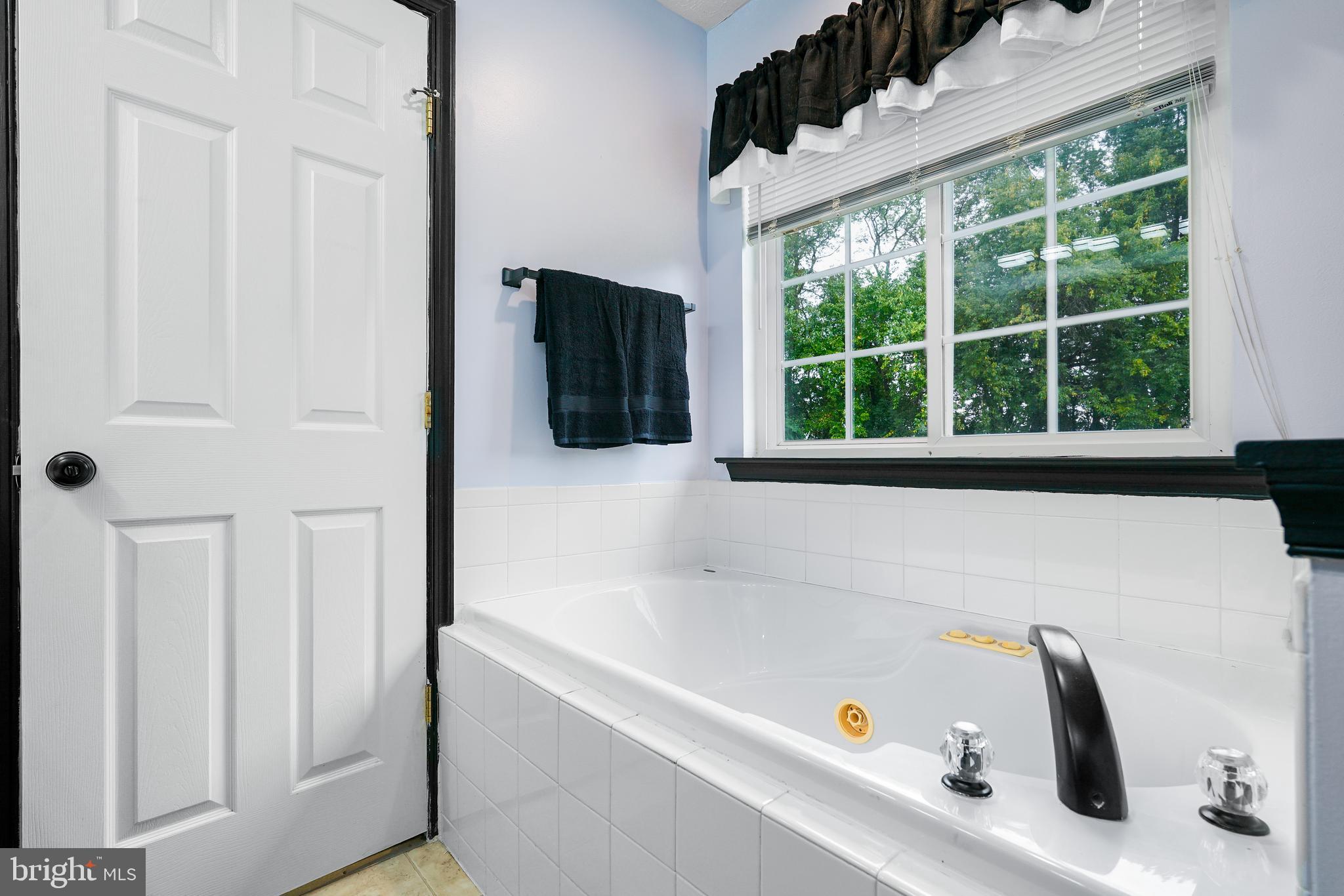 208 Maple Leaf Drive Rising Sun, MD 21911 - Photo 17 of 22 Soaking tup in en suite