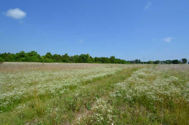 3 Roberts Road Watertown, TN 37184 - Photo 11 of 14