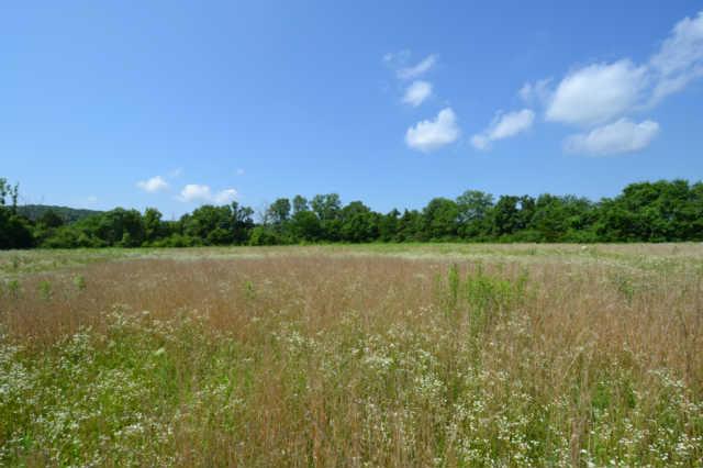 3 Roberts Road Watertown, TN 37184 - Photo 12 of 14