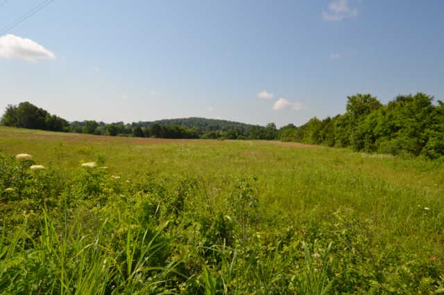 3 Roberts Road Watertown, TN 37184 - Photo 6 of 14