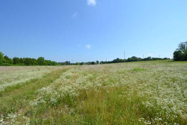 3 Roberts Road Watertown, TN 37184 - Photo 10 of 14