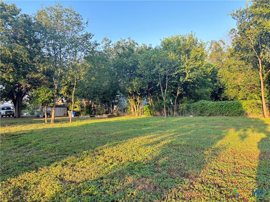 615 East Walnut Street Seguin, TX 78155 - Photo 4 of 7 a view of a park with large trees