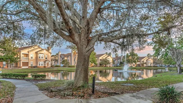 $1,375 | 18023 Villa Creek Drive, Unit 18023, Tampa, FL 33647