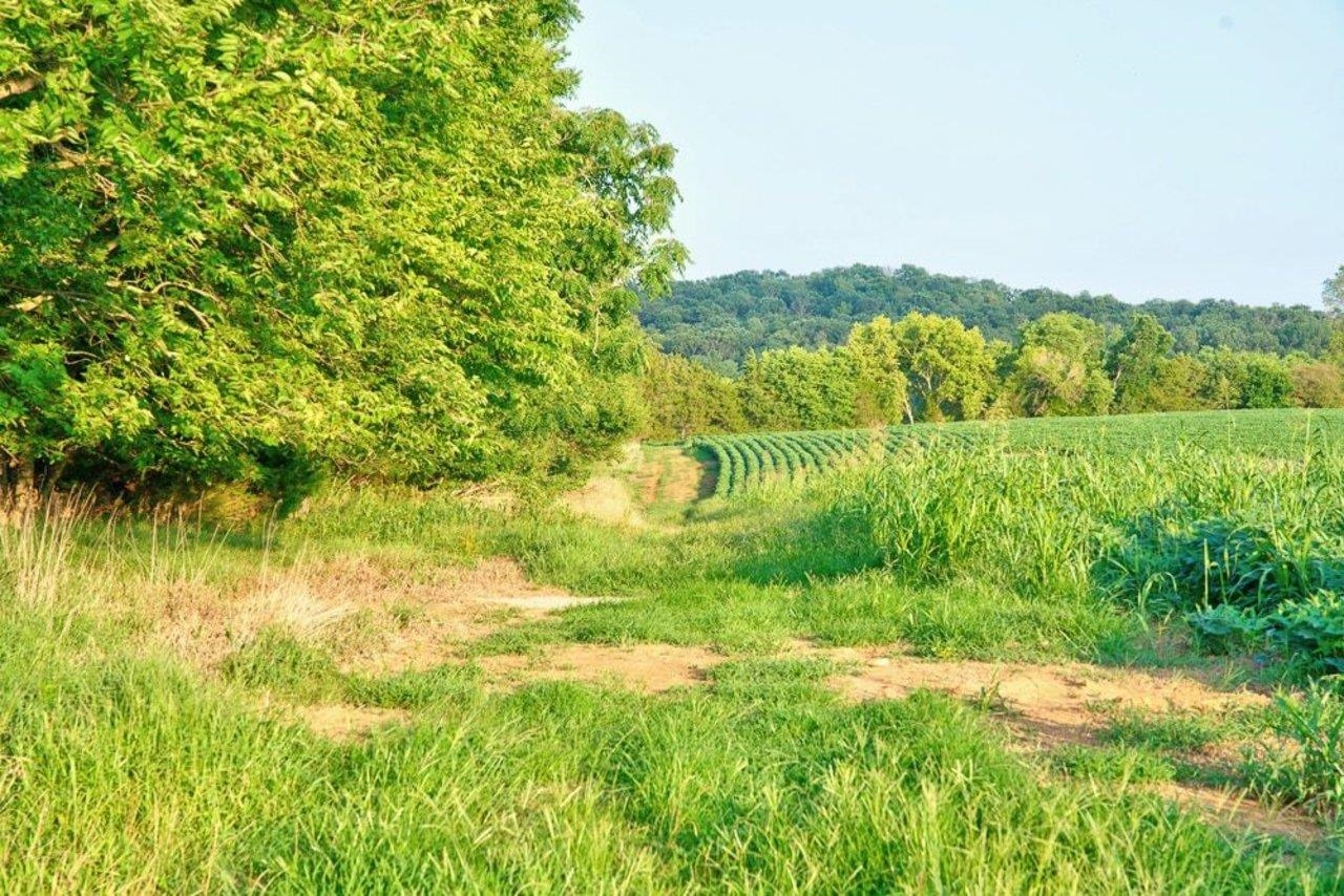 Tbd Battlefield Road Grottoes, VA 24441 - Photo 8 of 12 Gallery Image 8
