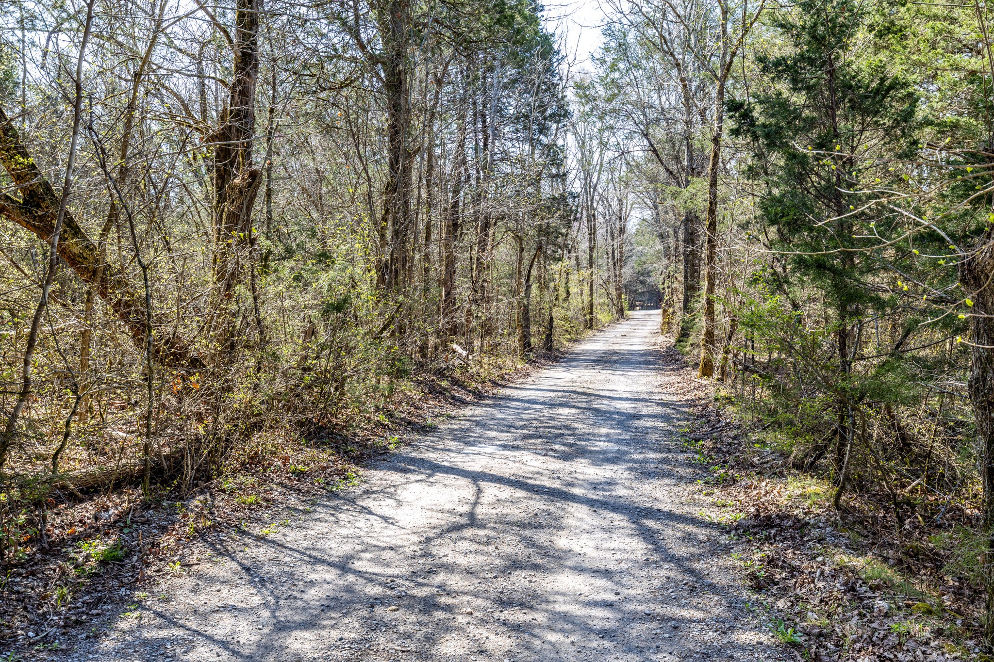 2739 Pickens Road Lynnville, TN 38472 - Photo 14 of 57 Gallery Image 14