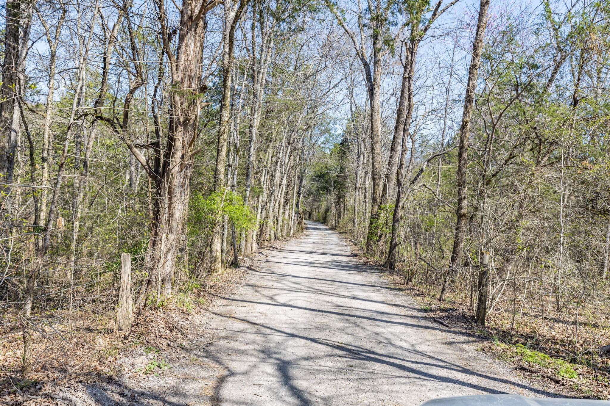 2739 Pickens Road Lynnville, TN 38472 - Photo 15 of 57 Gallery Image 15
