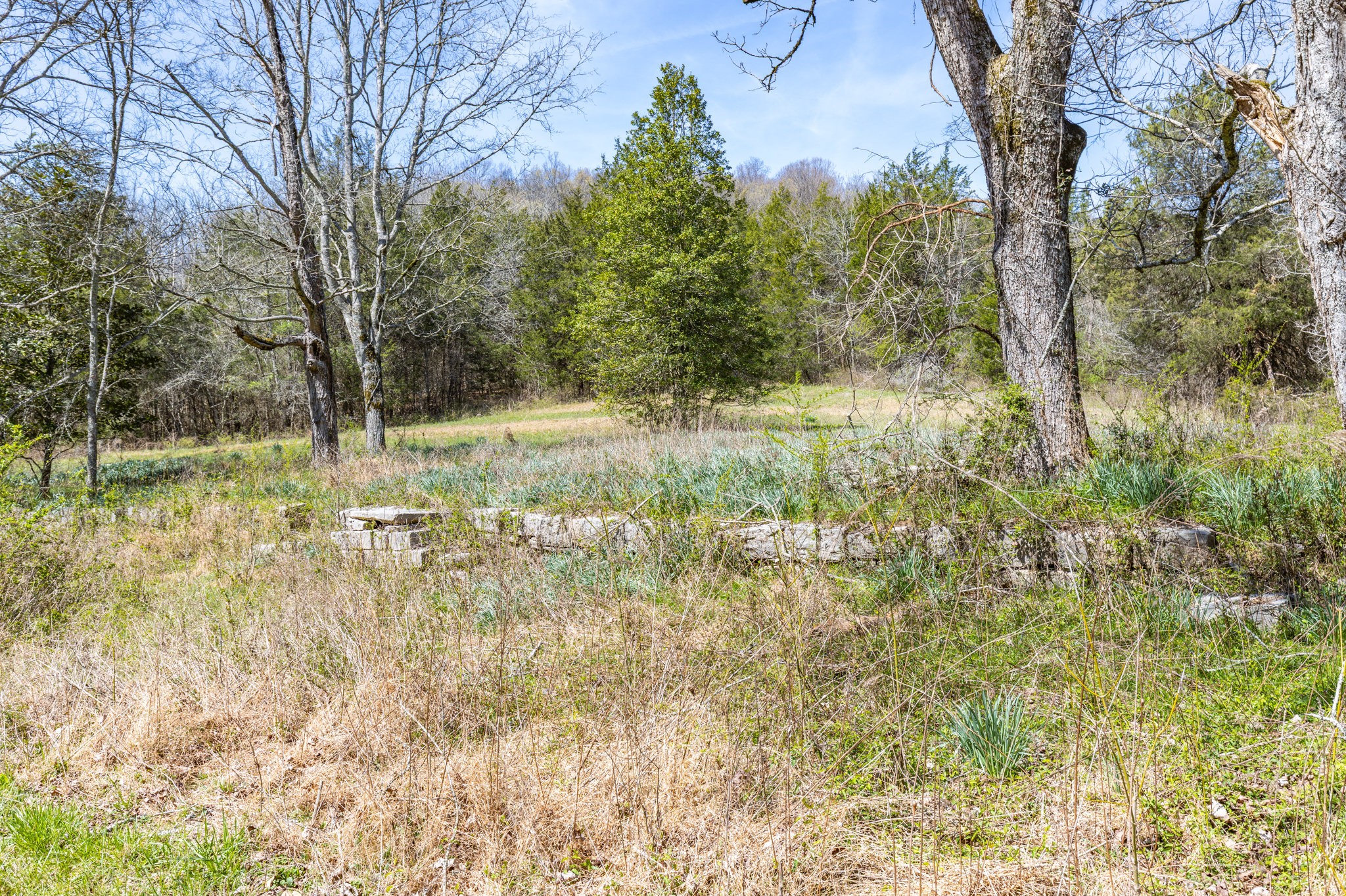 2739 Pickens Road Lynnville, TN 38472 - Photo 19 of 57 Gallery Image 19