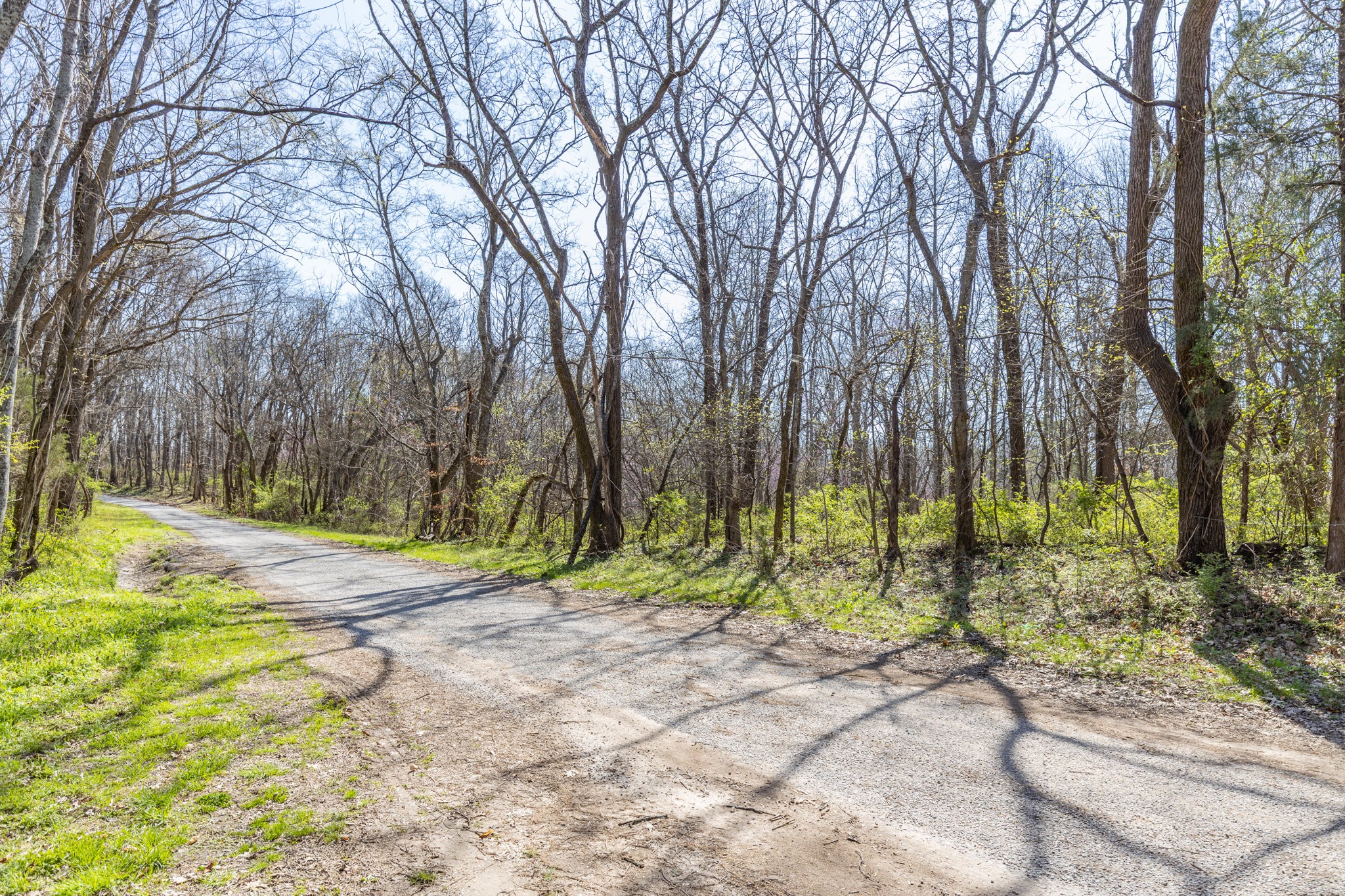 2739 Pickens Road Lynnville, TN 38472 - Photo 22 of 57 Gallery Image 22