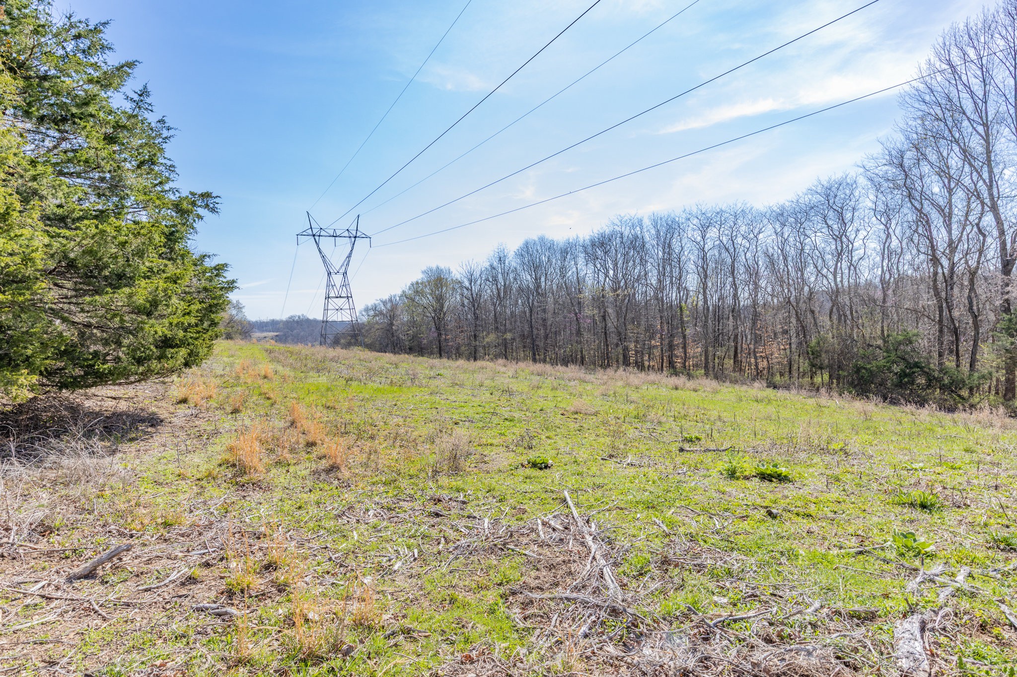 2739 Pickens Road Lynnville, TN 38472 - Photo 24 of 57 Gallery Image 24