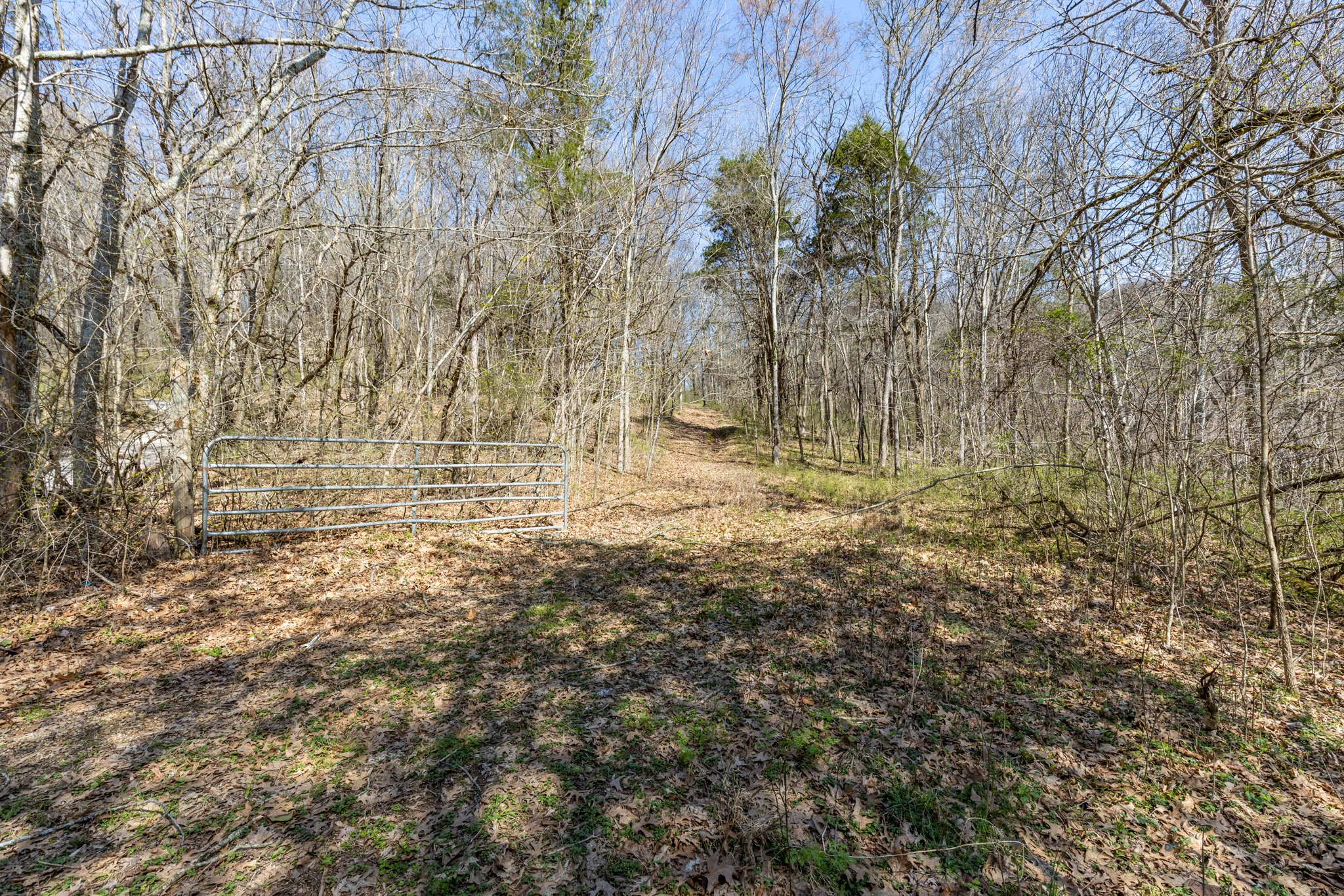 2739 Pickens Road Lynnville, TN 38472 - Photo 25 of 57 Gallery Image 25