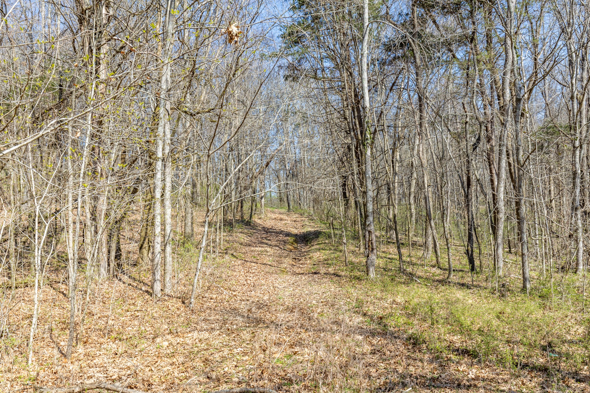 2739 Pickens Road Lynnville, TN 38472 - Photo 26 of 57 Gallery Image 26