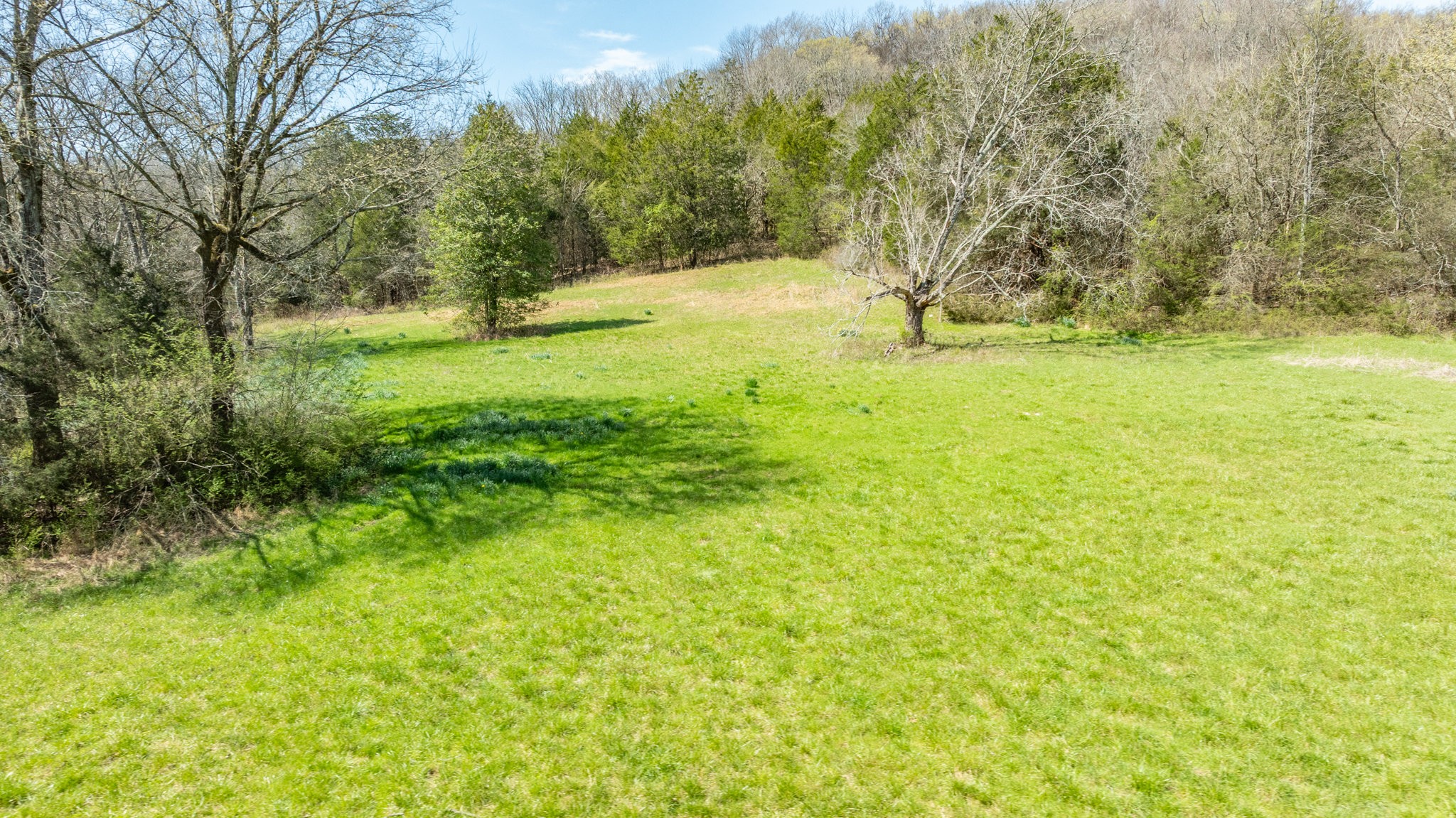 2739 Pickens Road Lynnville, TN 38472 - Photo 32 of 57 Gallery Image 32