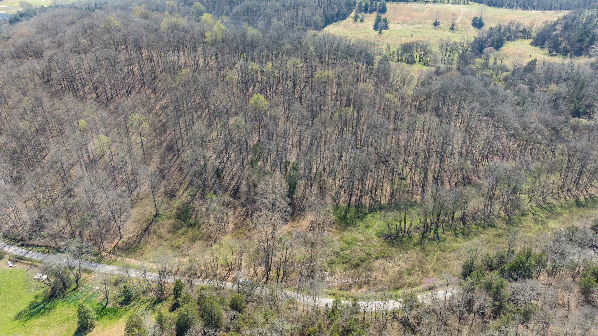 2739 Pickens Road Lynnville, TN 38472 - Photo 44 of 57 Gallery Image 44