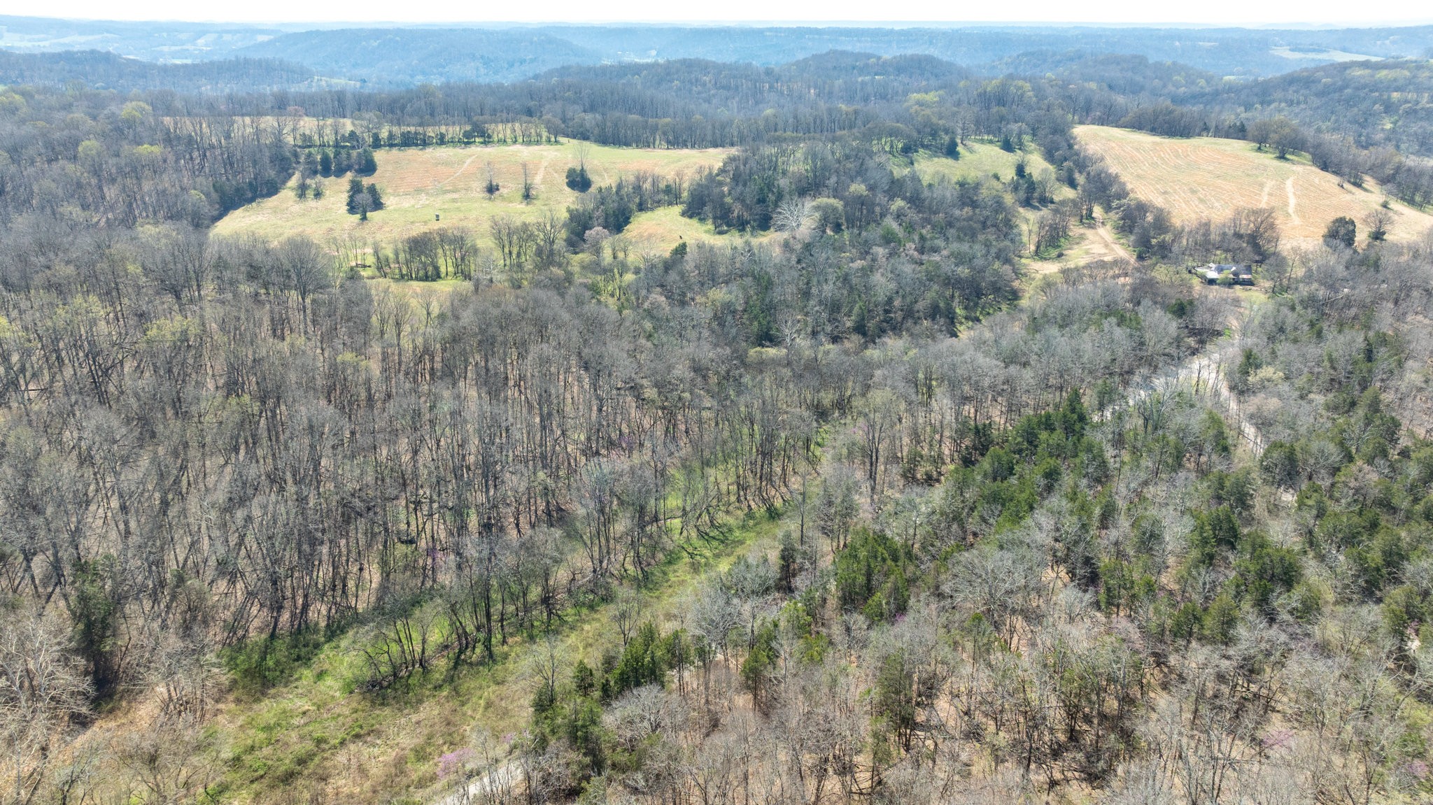 2739 Pickens Road Lynnville, TN 38472 - Photo 45 of 57 Gallery Image 45