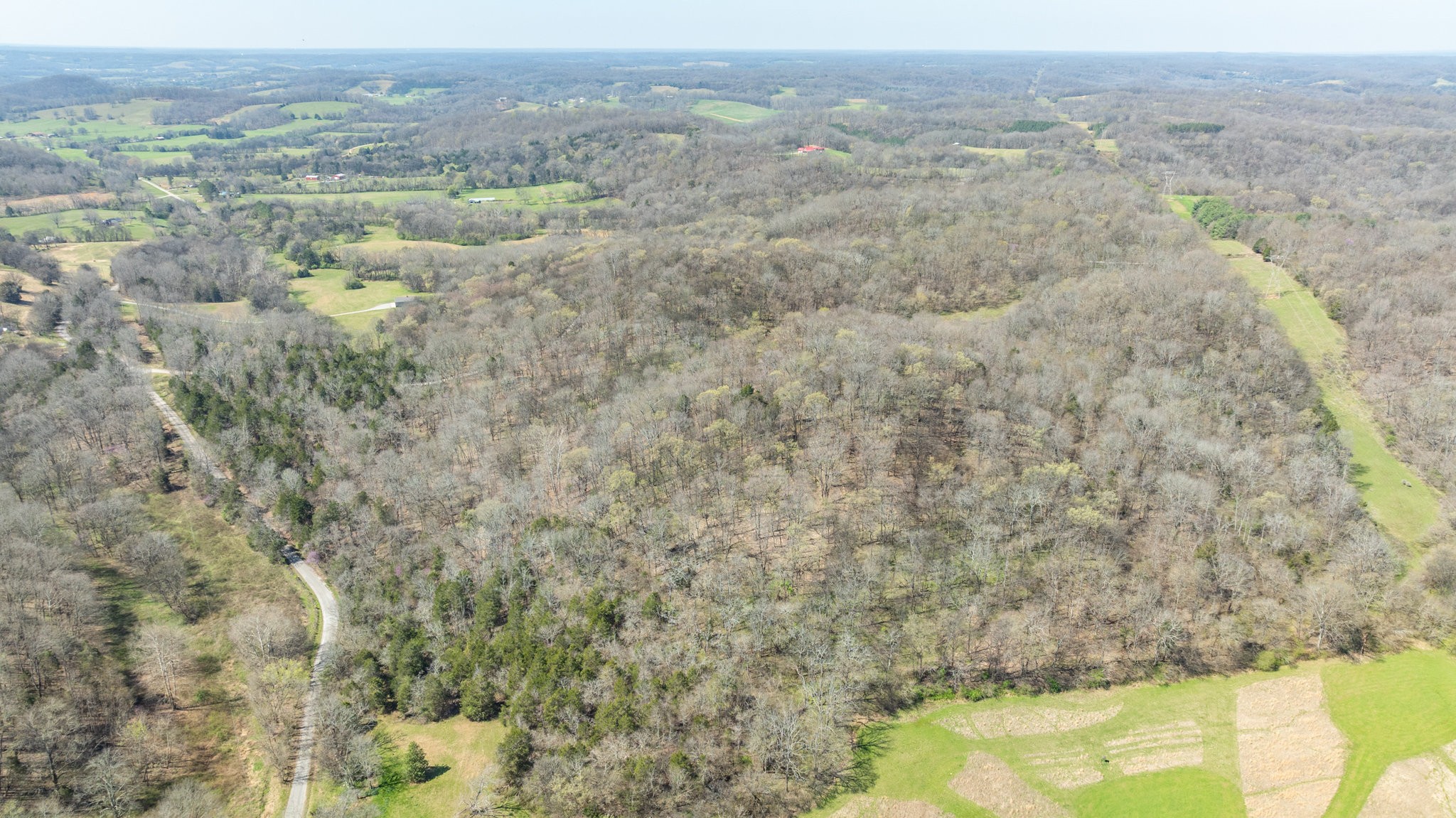 2739 Pickens Road Lynnville, TN 38472 - Photo 50 of 57 Gallery Image 50