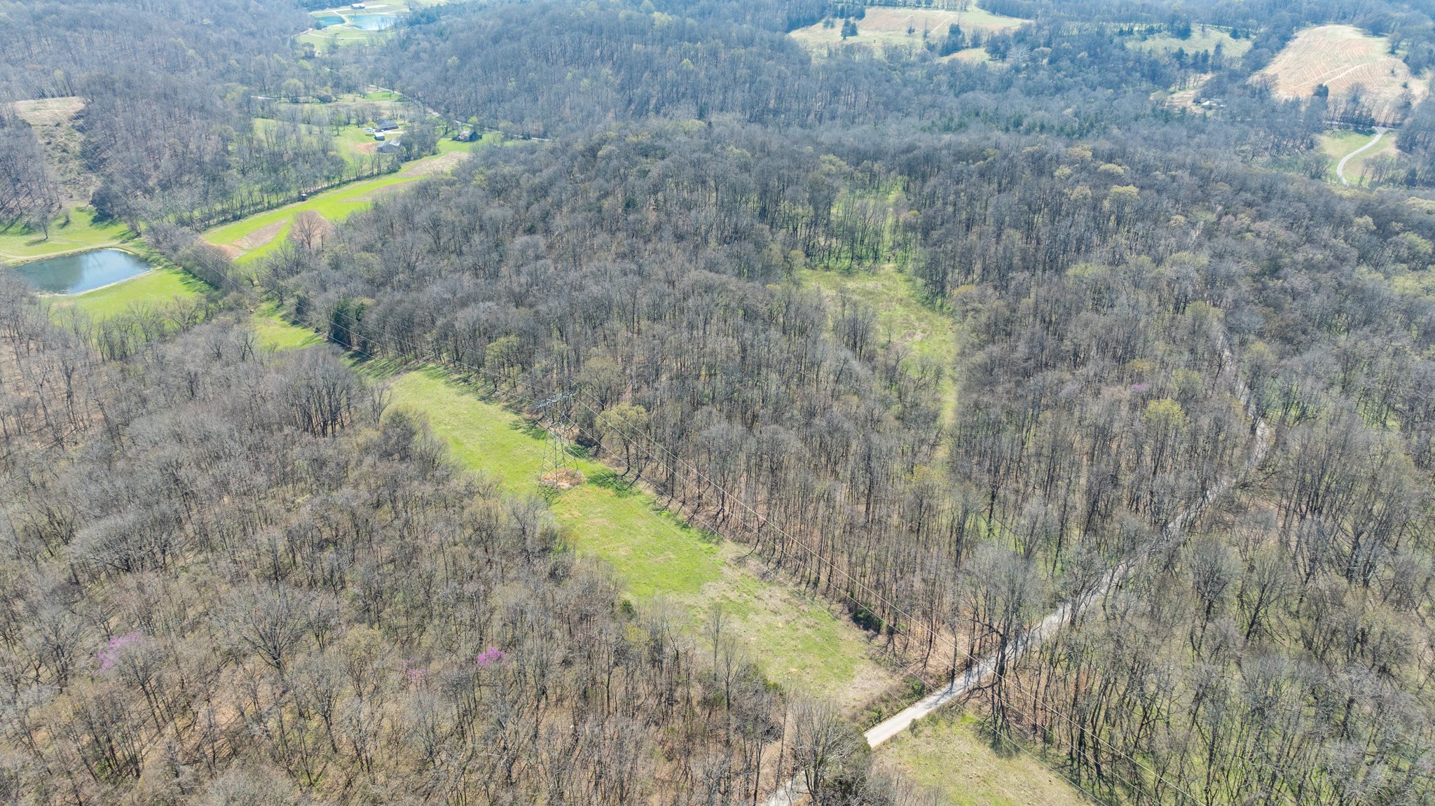 2739 Pickens Road Lynnville, TN 38472 - Photo 52 of 57 Gallery Image 52