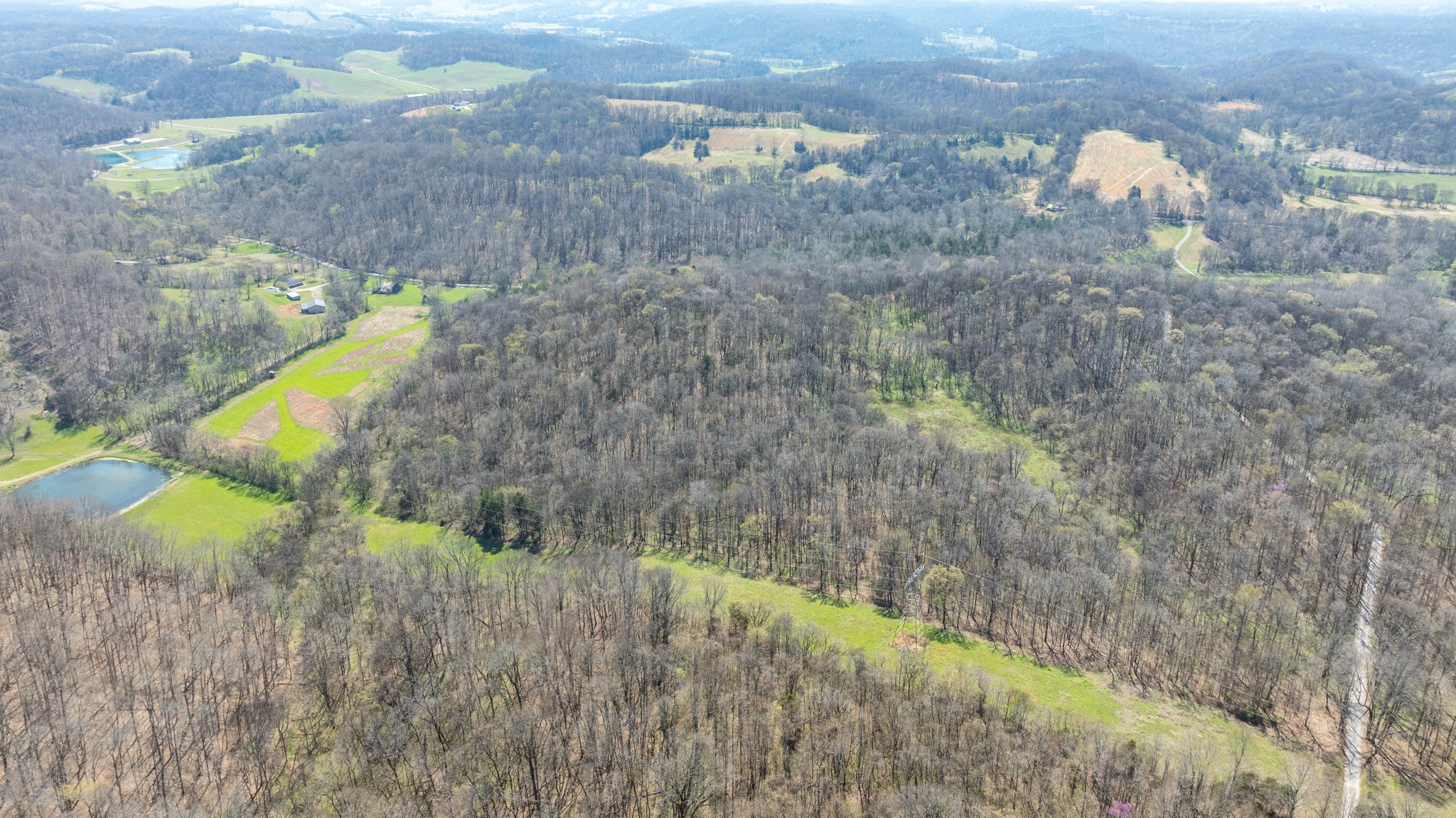 2739 Pickens Road Lynnville, TN 38472 - Photo 53 of 57 Gallery Image 53