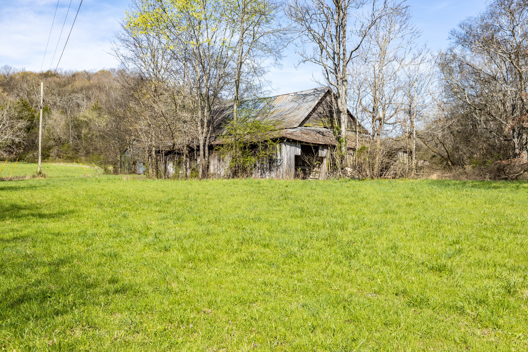 2739 Pickens Road Lynnville, TN 38472 - Photo 9 of 57 Gallery Image 9