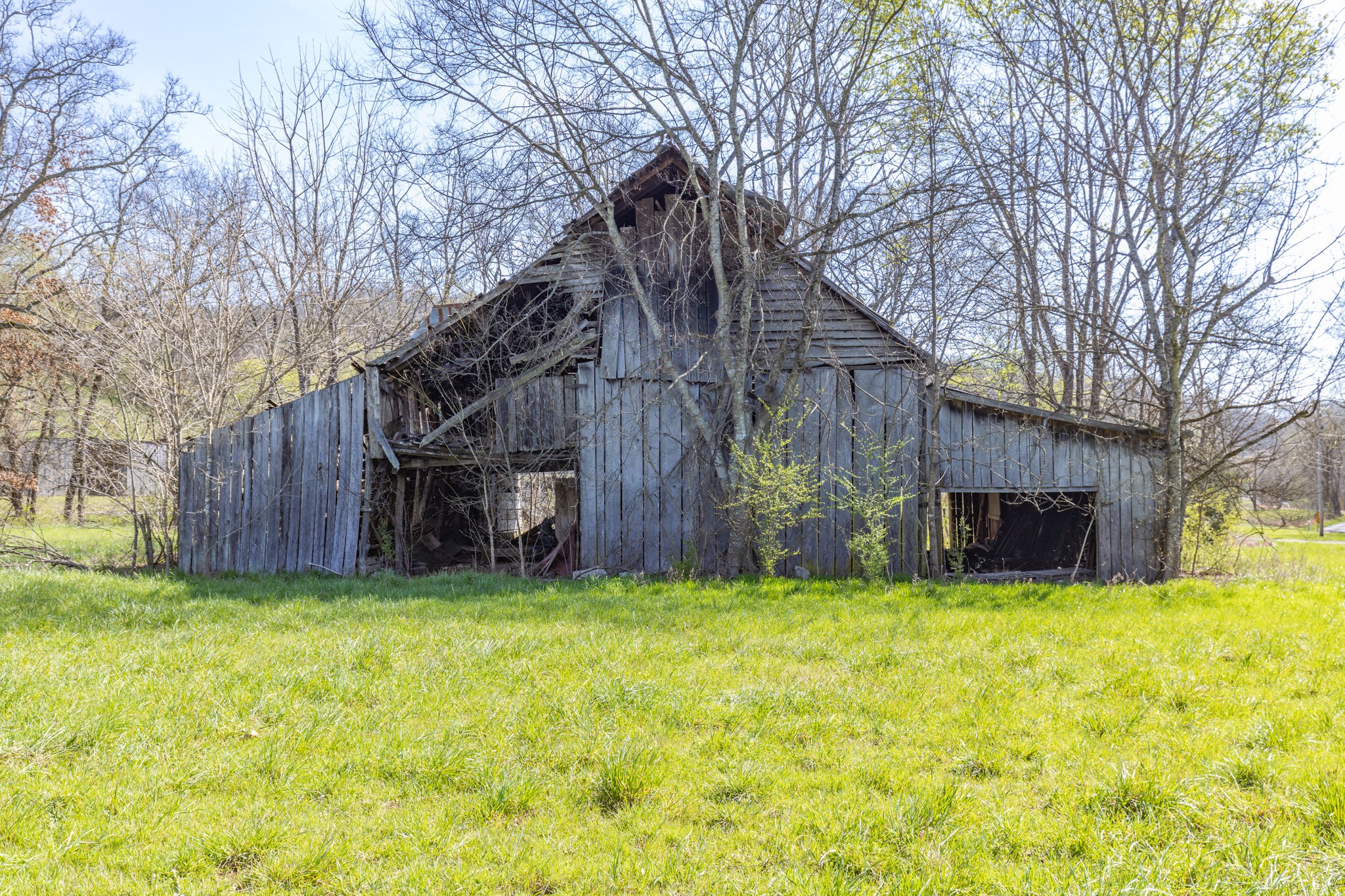 2739 Pickens Road Lynnville, TN 38472 - Photo 10 of 57 Gallery Image 10