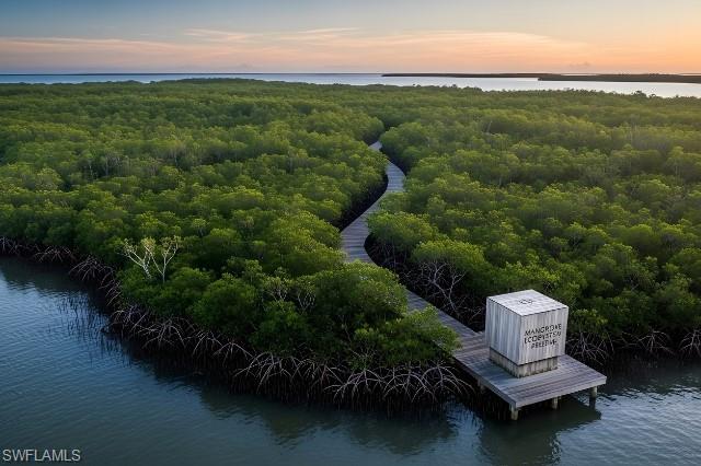 178 Bermuda Road Marco Island, FL 34145 - Photo 21 of 44 Mangroves Ecosystem at Rookery Bay