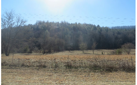 30.05 Acres Off Loving Road Morganton, GA 30560 - Photo 1 of 1 Main View