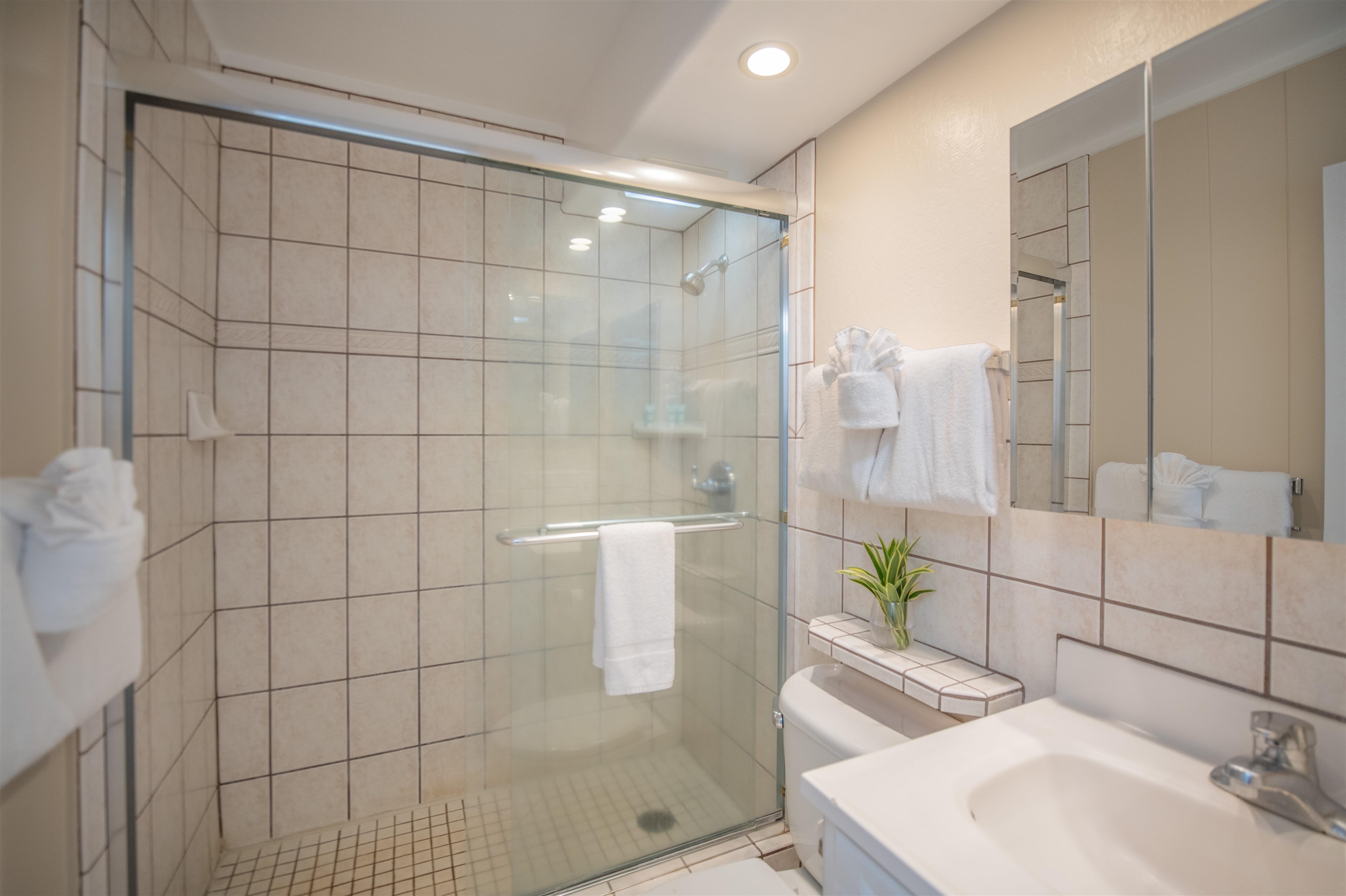 4057 Lower Honoapiilani Road, Unit 202 Lahaina, HI 96761 - Photo 8 of 25