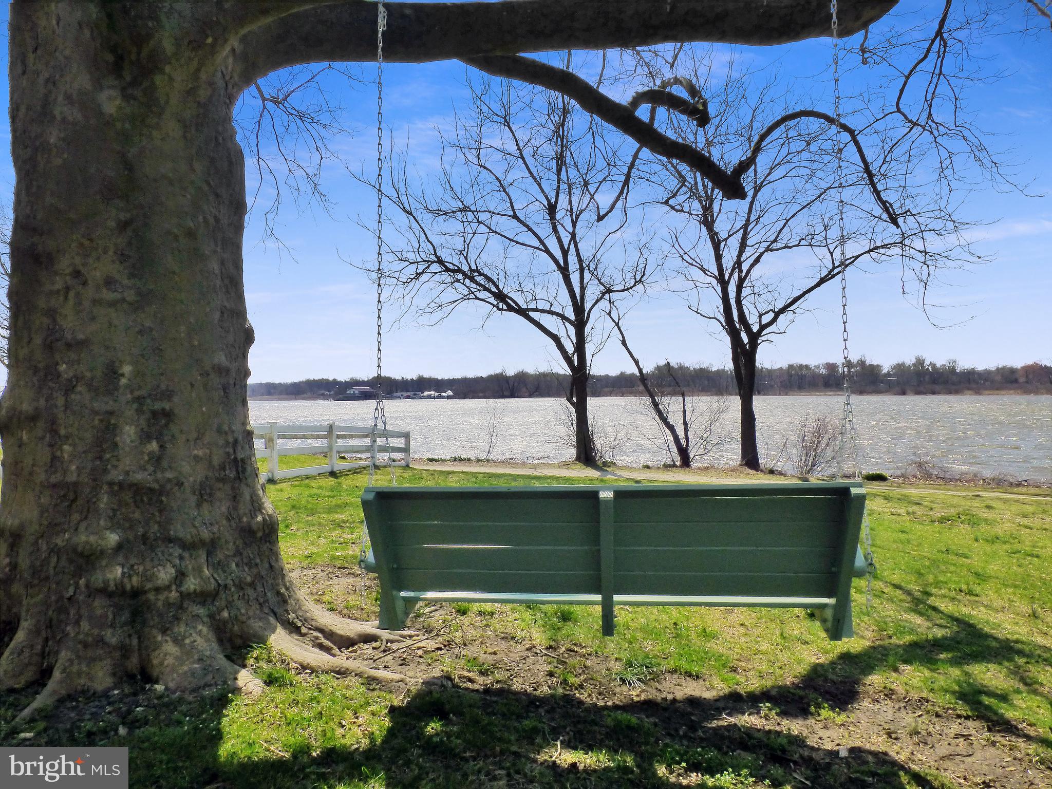 100 Russ Farm Way Riverside, NJ 08075 - Photo 116 of 132 Your own tree swing