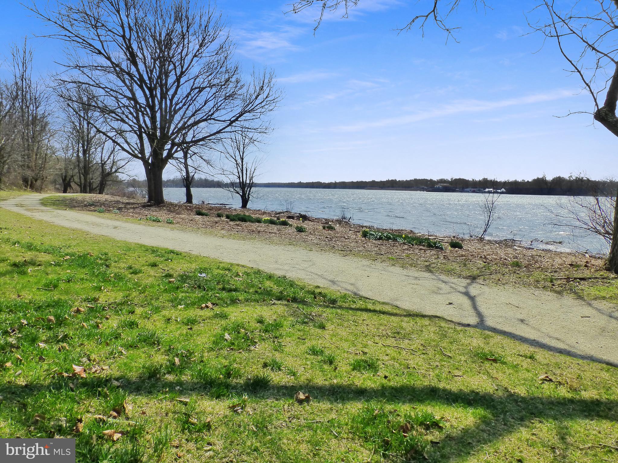 100 Russ Farm Way Riverside, NJ 08075 - Photo 120 of 132 Walking trail between house and water