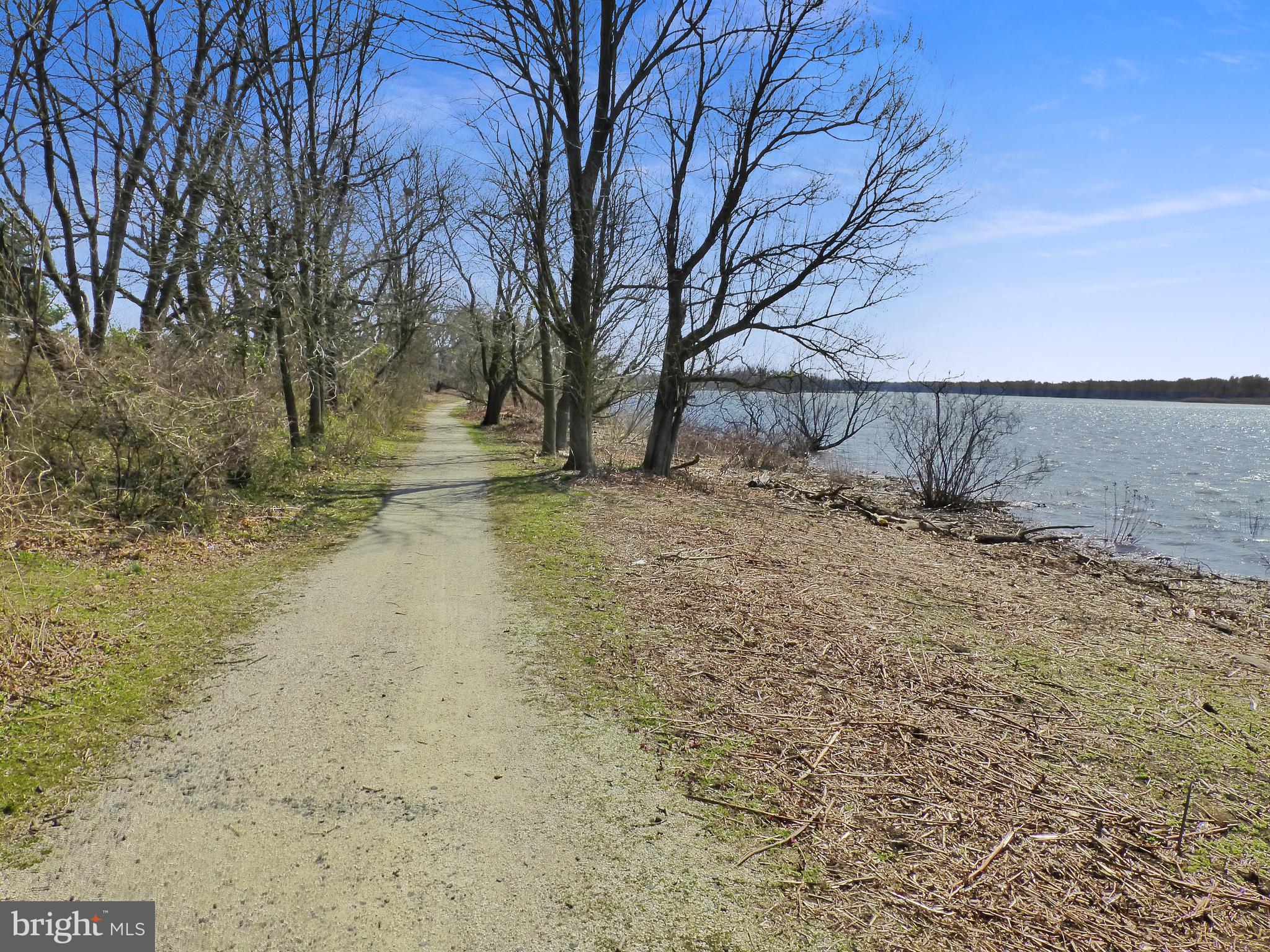 100 Russ Farm Way Riverside, NJ 08075 - Photo 122 of 132 Walking trail between house and water