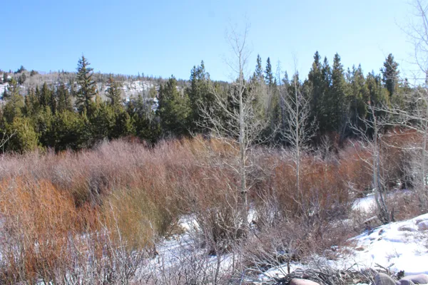 $849,999 | 70 Blue Heron Way, Robertson, WY 82944