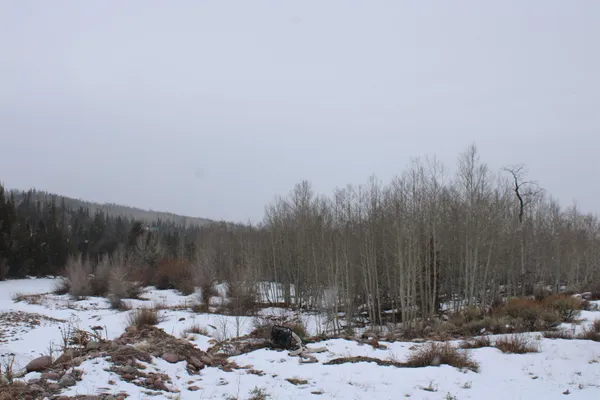 $849,999 | 70 Blue Heron Way, Robertson, WY 82944