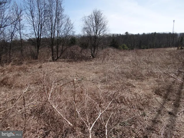 a view of mountain view with lots of trees