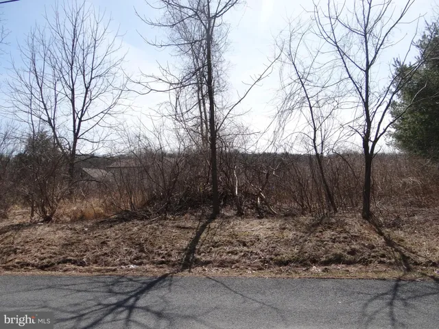 a view of a dry yard with mountains in the background