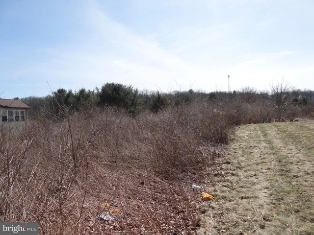a view of a dry field with trees in the background