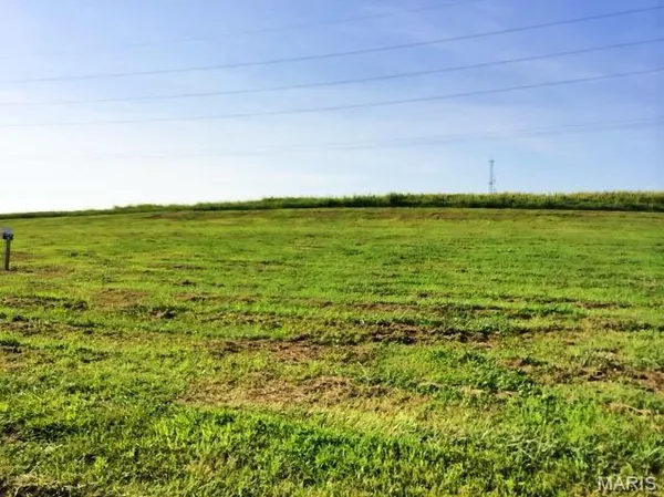 $40,500 | 428 Bluff Meadows Drive, Valmeyer, IL 62295