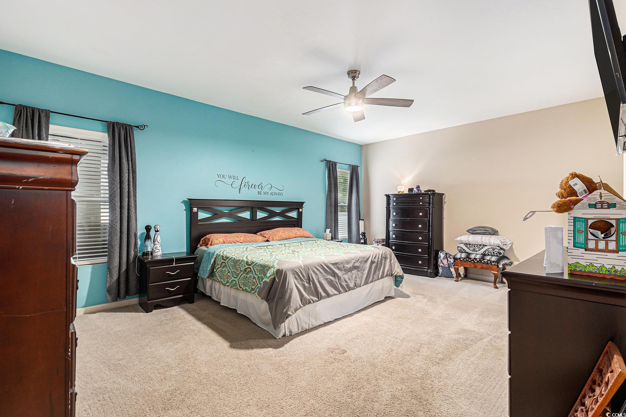 436 Cotton Grass Drive Loris, SC 29569 - Photo 14 of 33 Bedroom featuring carpet floors and a ceiling fan