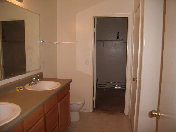 3334 South Chaparral Road Apache Junction, AZ 85119 - Photo 10 of 17 Master Bath